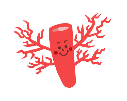 毛細血管